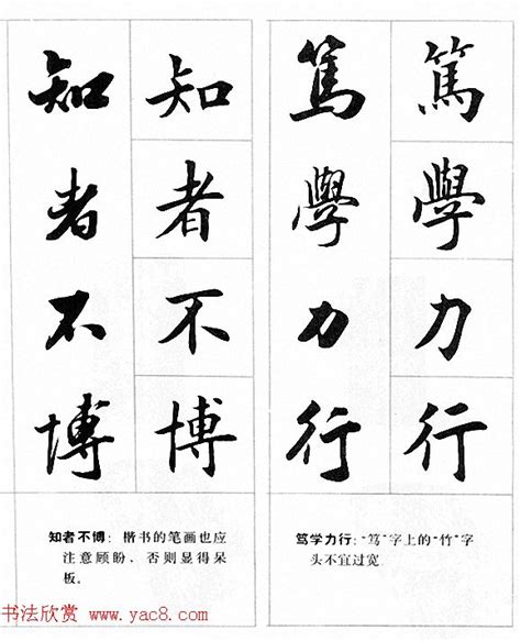 4字語錄|四字名言